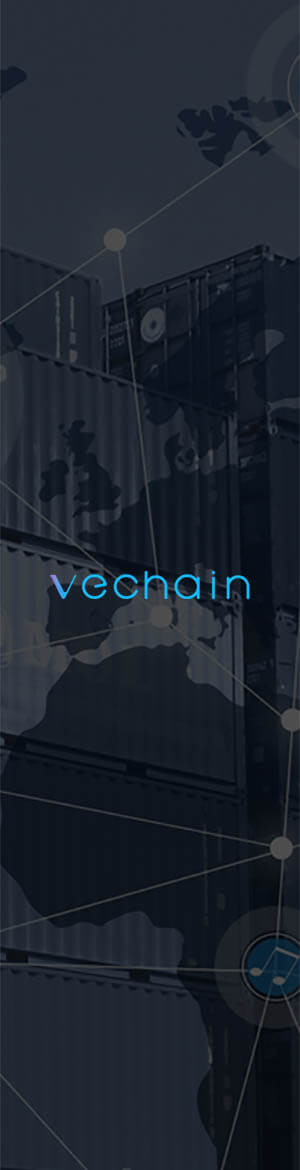 Криптовалюта VeChain